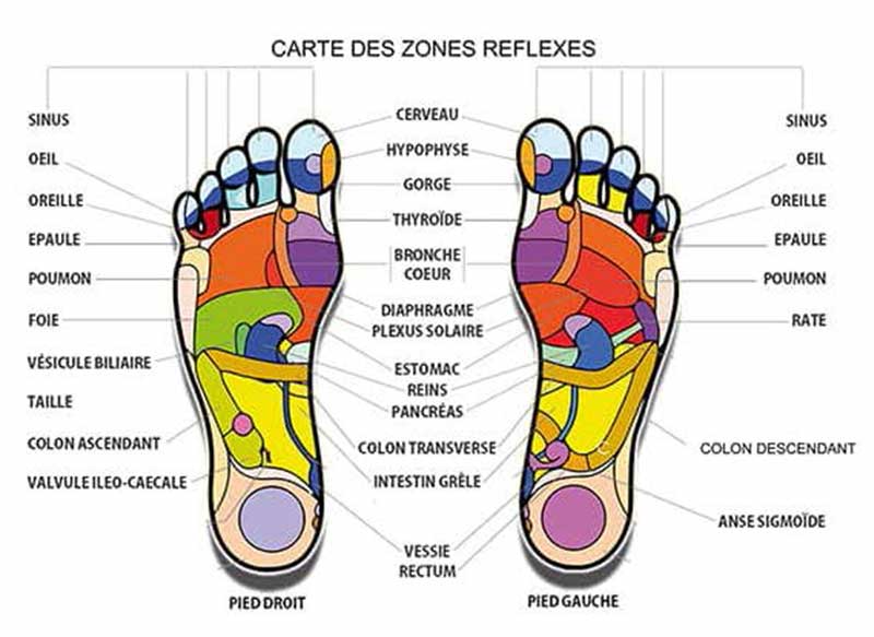 Modèle Original Page De Garde Reflexologie Plantaire Réflexologie plantaire avec le coussin acupression contre les douleurs